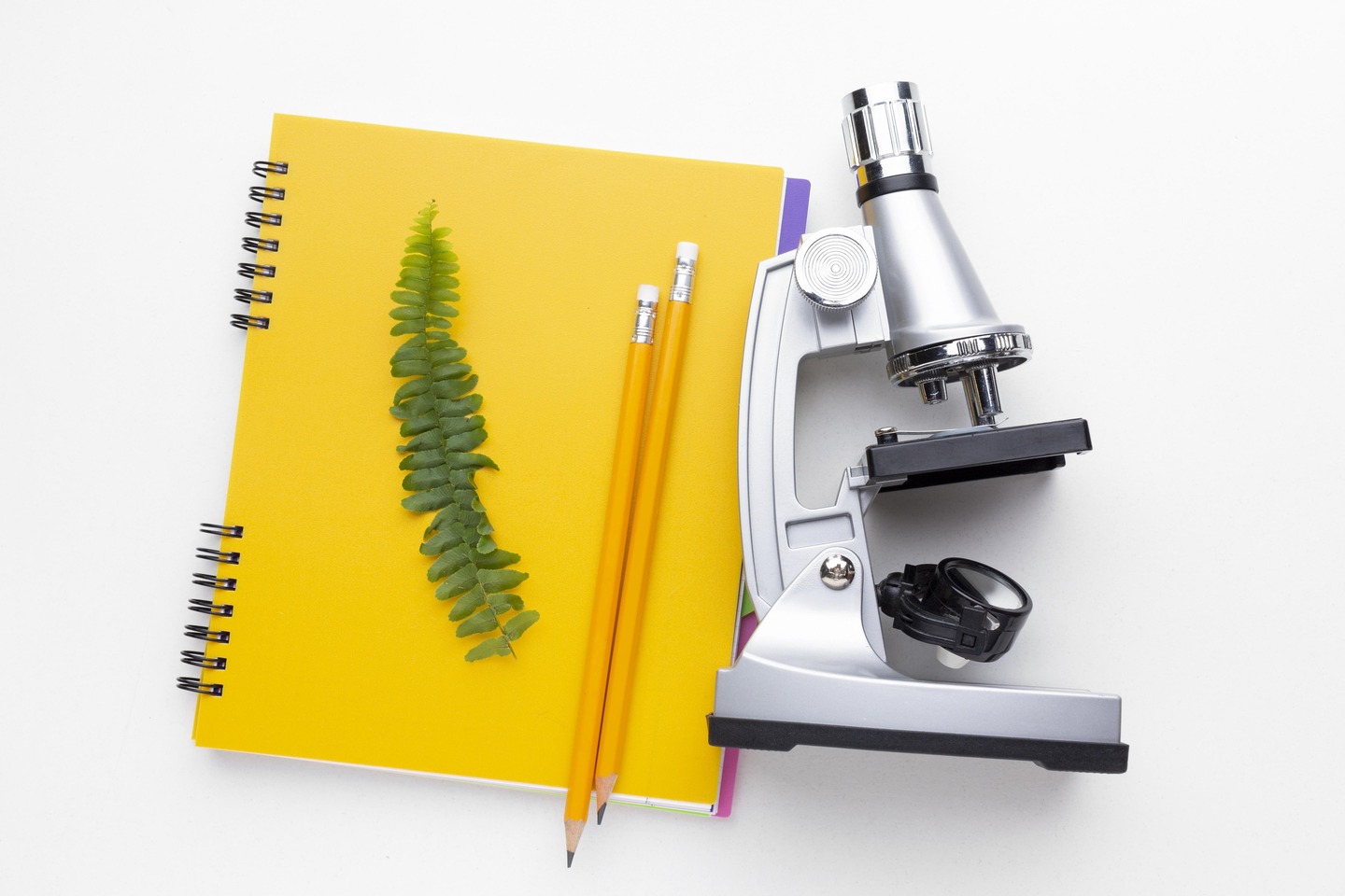 top view microscope notebook